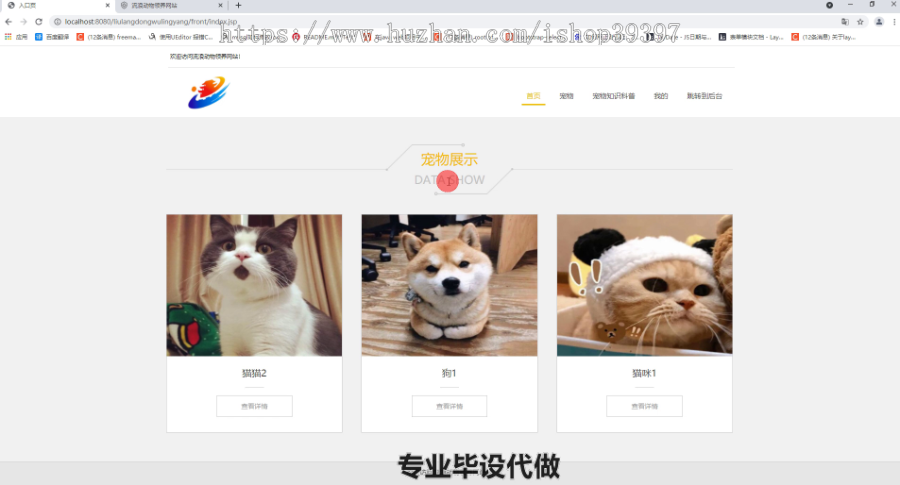 毕设ssm332基于ssm框架的流浪宠物领养系统毕业设计