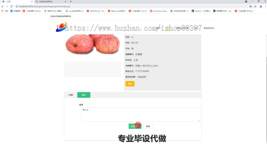毕设ssm332基于ssm框架的流浪宠物领养系统毕业设计