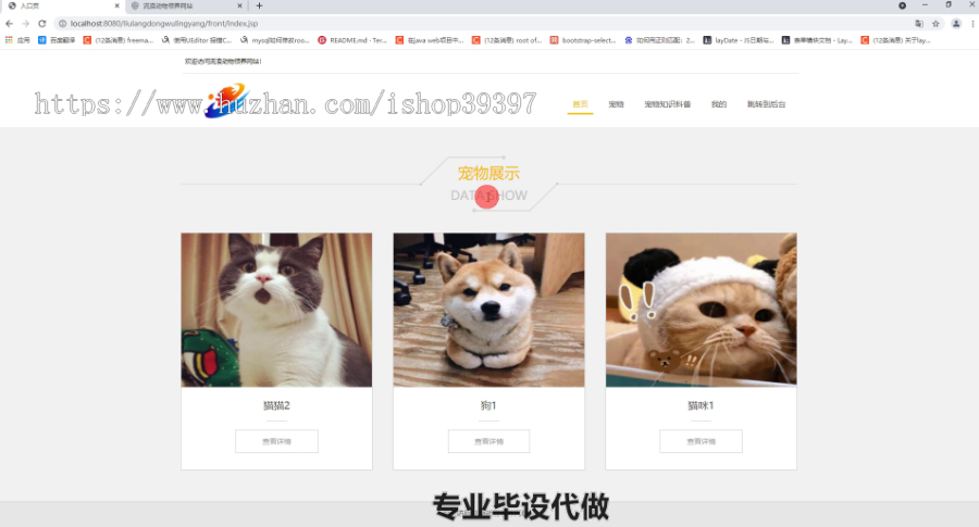 毕设ssm342基于SSM的宠物领养系统毕业设计
