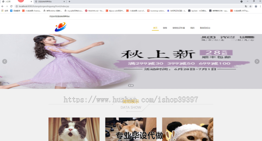 毕设ssm342基于SSM的宠物领养系统毕业设计