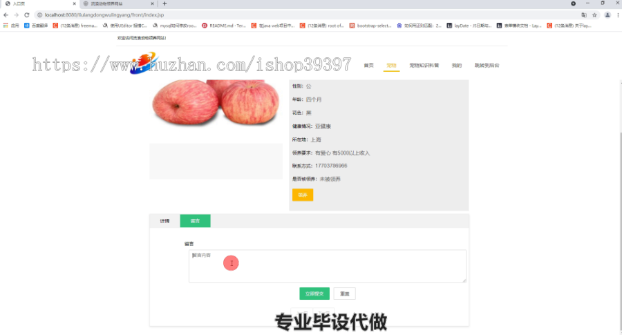 毕设ssm342基于SSM的宠物领养系统毕业设计