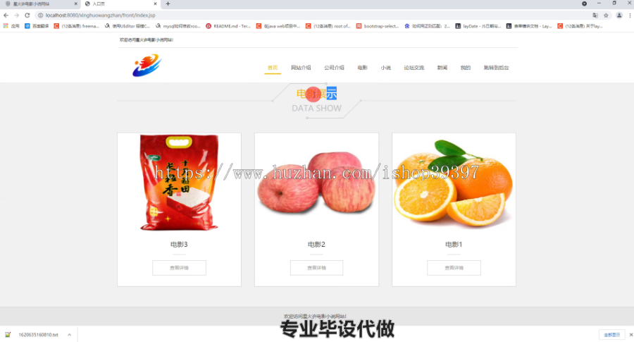 毕设ssm369星火许电影小说网站设计毕业设计