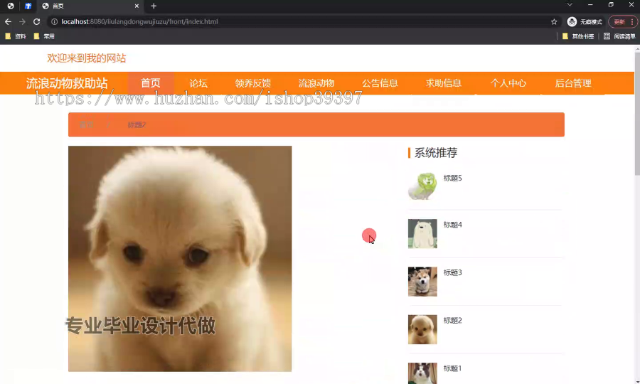毕设ssm593流浪动物救助站+vue毕业设计