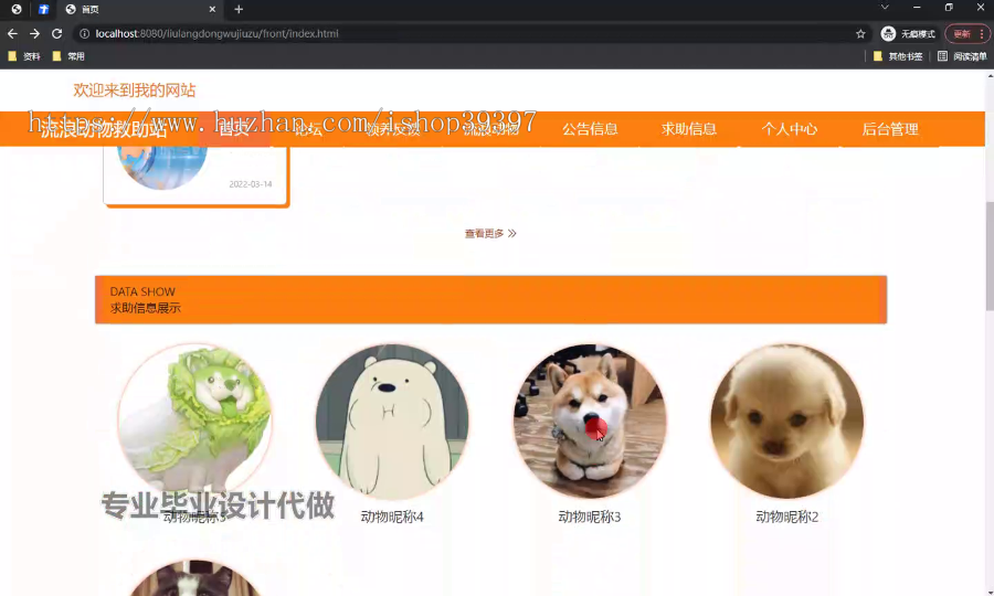 毕设ssm593流浪动物救助站+vue毕业设计