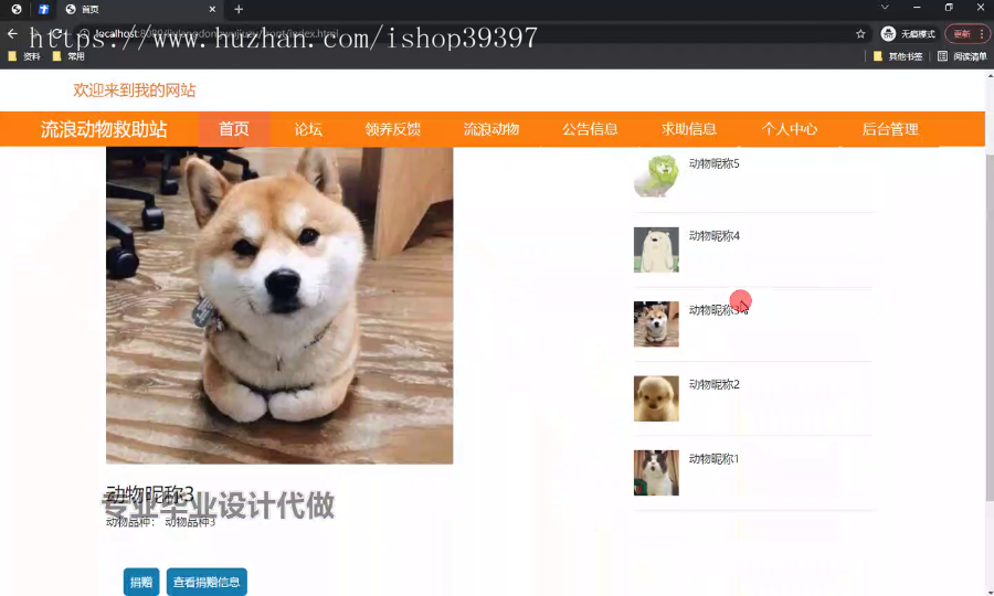 毕设ssm593流浪动物救助站+vue毕业设计