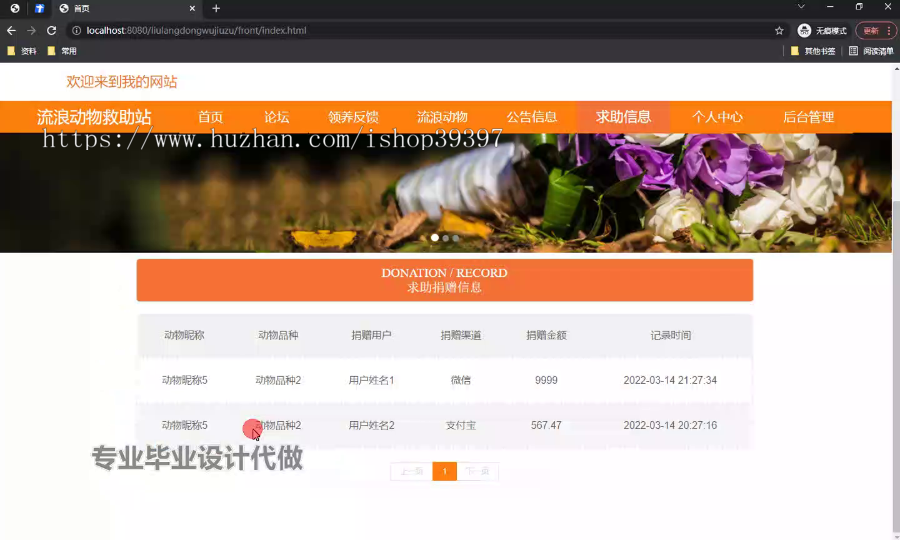 毕设ssm593流浪动物救助站+vue毕业设计