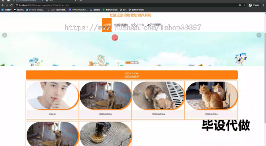 毕设ssm666社区流浪动物救助领养系统的设计与开发+vue毕业设计