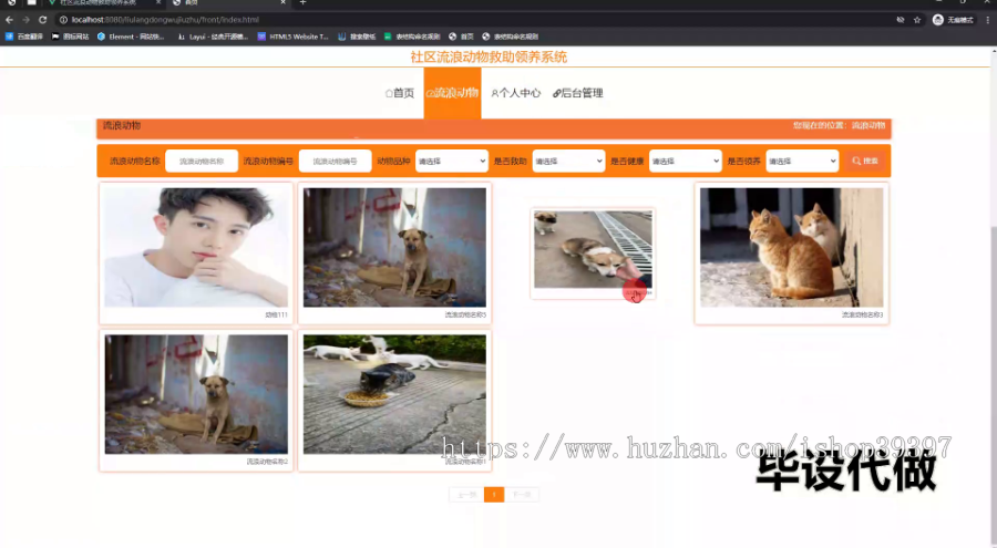 毕设ssm666社区流浪动物救助领养系统的设计与开发+vue毕业设计