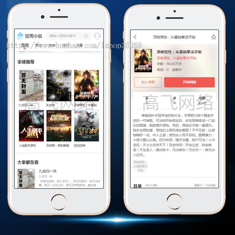 完美可运行小说系统带采集规则带模板自适应小说程序