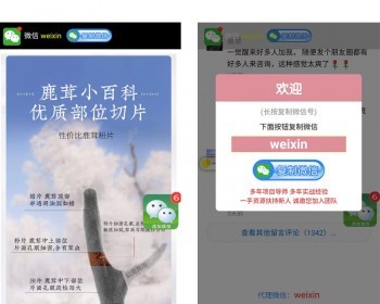 H5单页网站模板产品推广网站营销落地页手机网站源码有后台可编辑