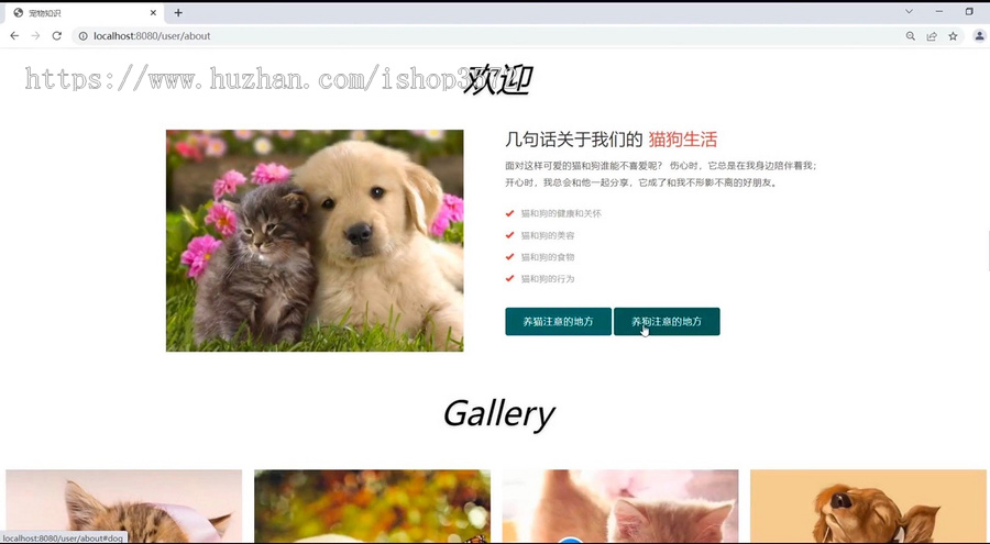宠物领养管理系统源码
