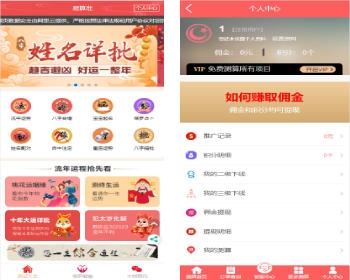 2023新版运势测试风水起名/八字算命/算财运姻缘/易经周易/运势测算网源码/塔罗牌占卜