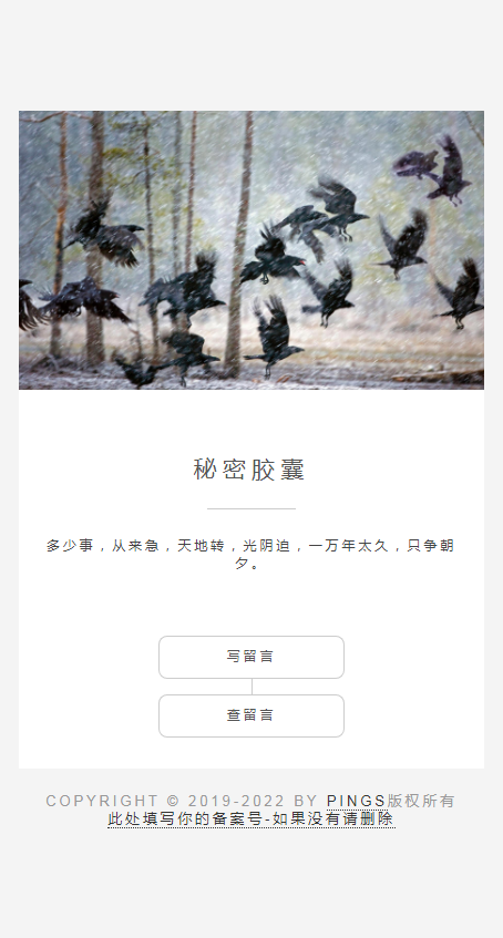秘密胶囊开源版-匿名留言程序源码