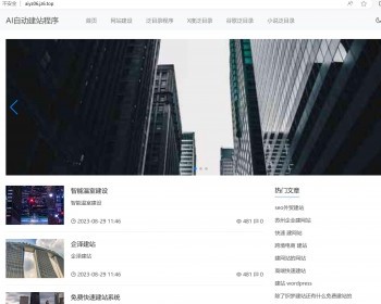 2024Ai自动生成整站程序内容/自主聚合程序源码/批量建站养站站群系统