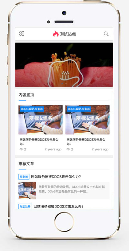 （自适应手机端）响应式博客资讯类网站模板 创业资讯文章网站源码