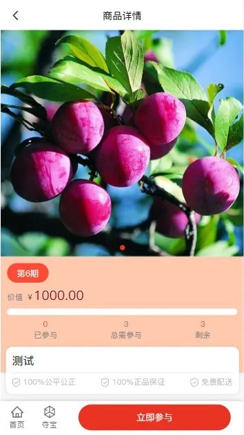 2026夺宝新算法单商户商城系统/自定义装修/拼团秒杀抢购/分销设置/会员权限管理源码