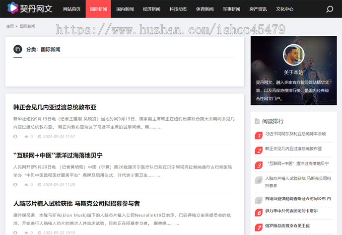 新闻系统-自动采集发布(免维护)-博客主题版