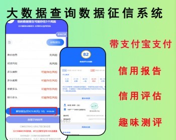 2026大数据查询数据查询征信系统趣味查询征信网黑大数据查询源码