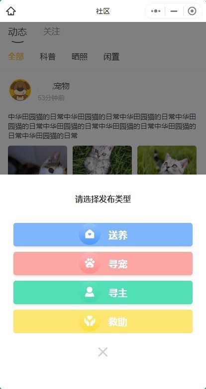 2026智慧宠物宠物社区系统宠物领养系统宠物救助系统宠物相亲活动源码可二开