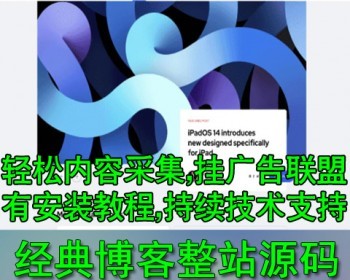 英文国外网站模板 经典博客布局主题 附送自动电脑采集软件