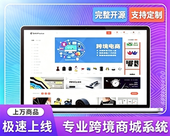 【运营版】多语言多商户TikTok跨境商城源码|独立站跨境tiktokshop外贸电商系统App