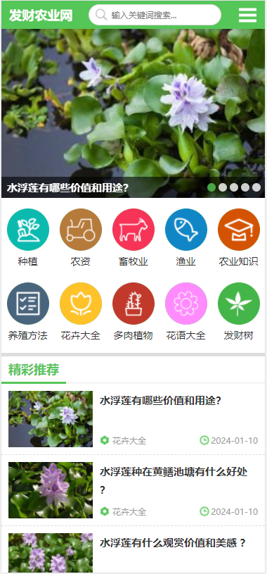 精品农业园林种子药材农业知识花卉大全养殖技术农业知识养殖技术花卉发财树栽培模板源