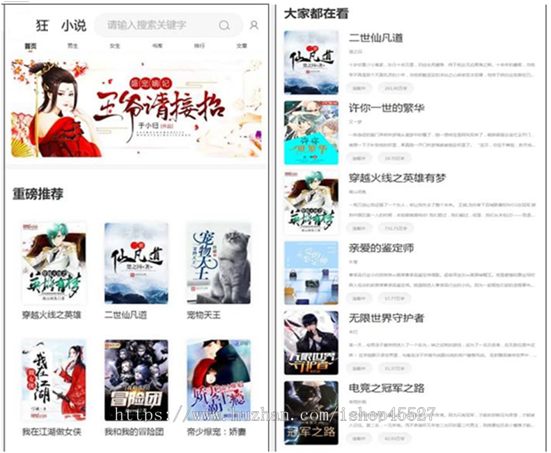 狂风雨小说系统带全部插件带采集小说站点系统源码多套模版带听书插件