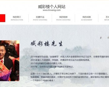 经典个人模板Html个人网站简历技能介绍自我博客系列风格手机自适应