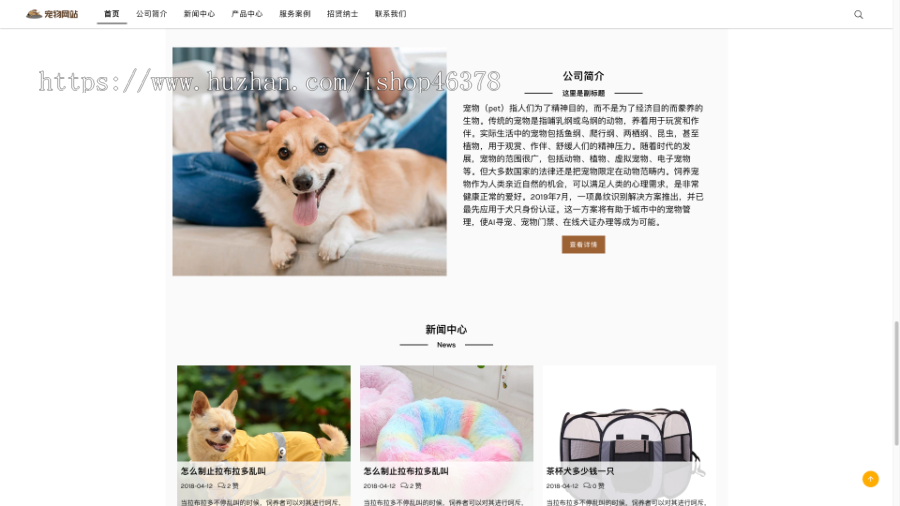 （自适应手机端）宠物商店宠物装备类网站pbootcms模板 宠物网站源码下载