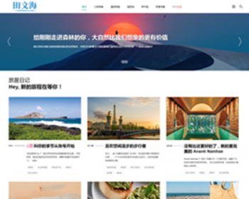zblog主题模板：zblog主题黑色简约博客主题 SEO收录好排名好