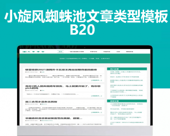小旋风蜘蛛池站群模板html文章新闻资讯类型模板蜘蛛池站群源码模板b20