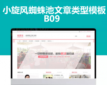 小旋风蜘蛛池站群模板html文章新闻资讯类型模板蜘蛛池站群源码模板b09