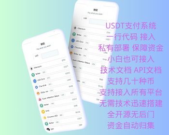 USDT支付系统 区块链支付