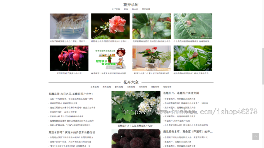 （PC+WAP）花卉养殖新闻资讯类pbootcms模板 绿色花草植物网站源码下载