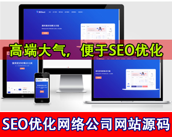 SEO优化网络公司网站源码关键词快排公司官网seo推广软件开发外包公司网站建设介绍官网