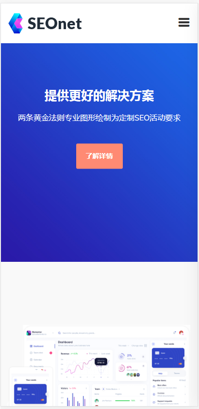 （自适应手机端）SEO优化网络公司网站模板