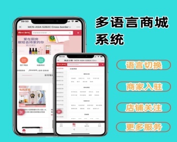 多语言商城系统源码 多语言切换商城系统定制