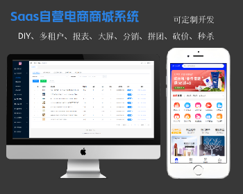 Java版自营电商商城系统 DIY移动端页面 大屏设计 低代码开发 基础商城活动