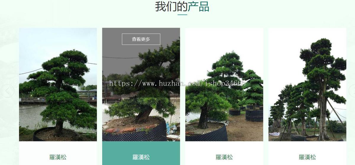 绿色植物种植贸易公司网站html模板