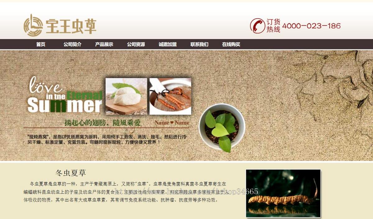 棕色简洁的虫草医药网站模板html整站