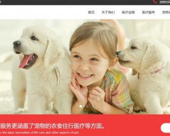 红色大气的宠物兽医医院网站模板静态HTML