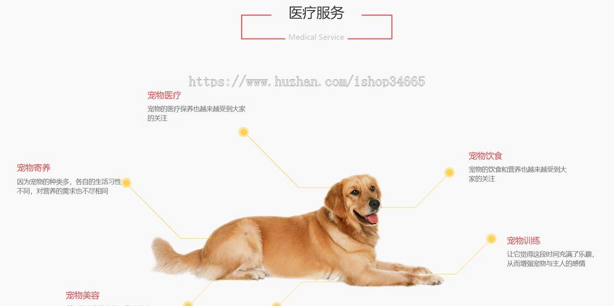 红色大气的宠物兽医医院网站模板静态HTML
