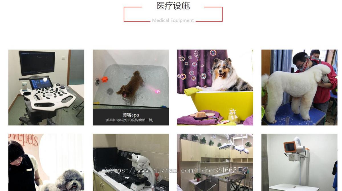 红色大气的宠物兽医医院网站模板静态HTML