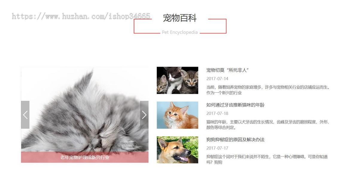 红色大气的宠物兽医医院网站模板静态HTML