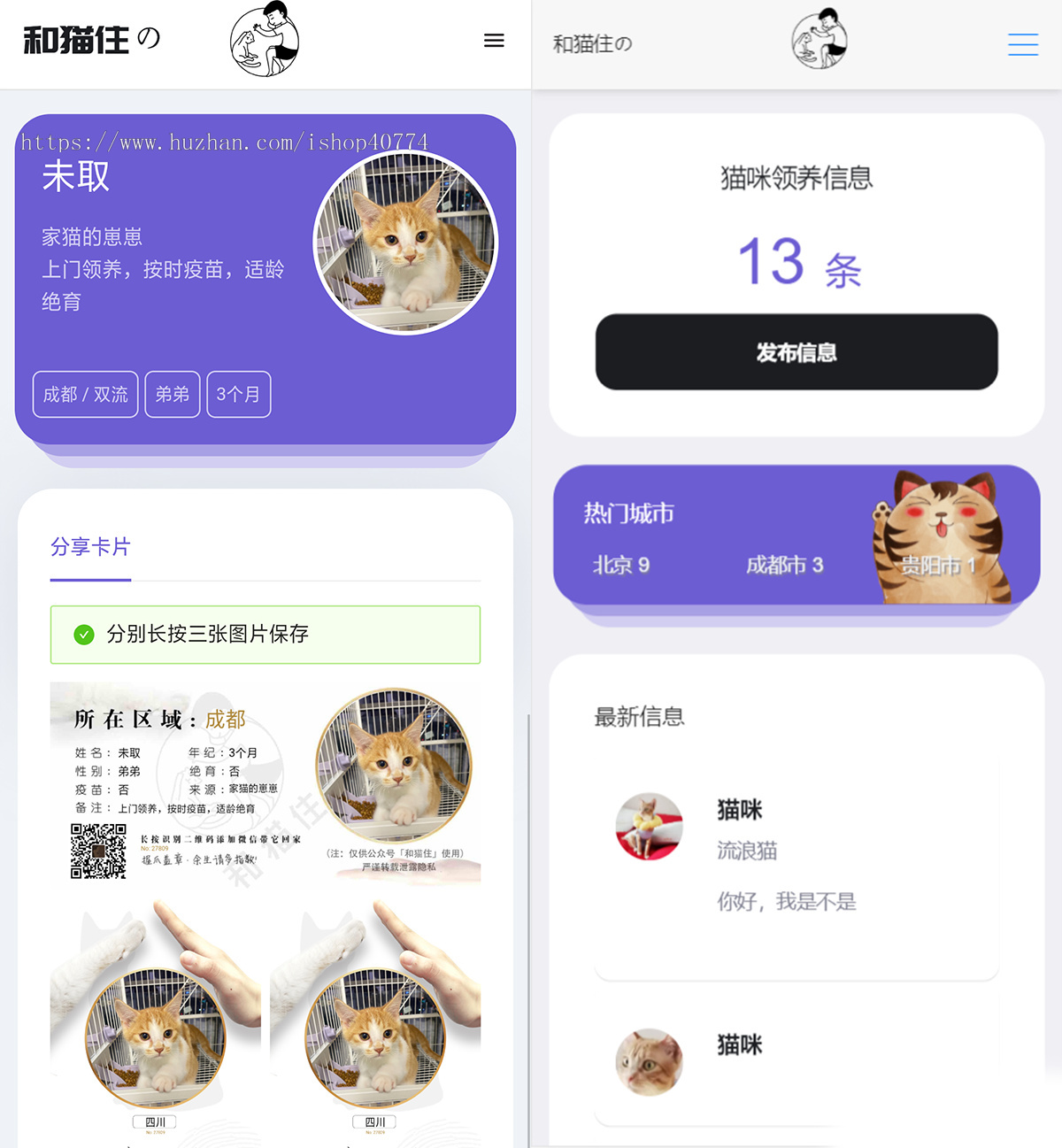 运营版流浪猫狗领养|信息发布h5平台|可封装小程序App