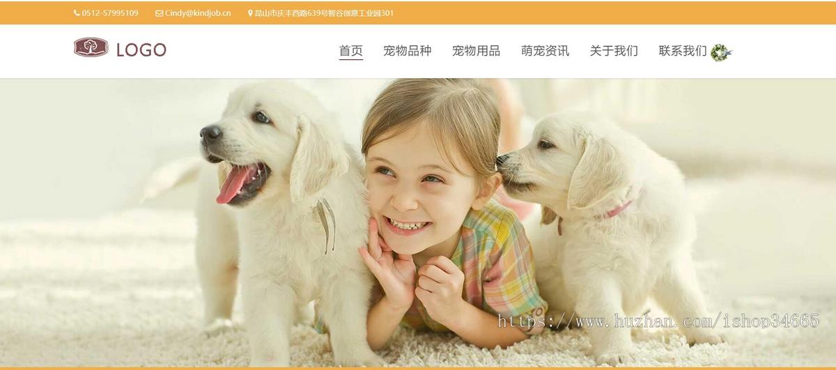 宠物咨询门户小网站静态HTML模板