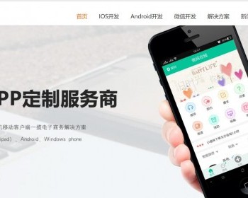 网站建设APP设计APP应用制作宣传HTML静态模板
