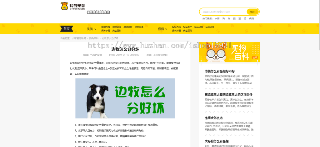 帝国cms仿《小可爱宠物网》宠物模板,宠物源码简洁大气带手机同步插件