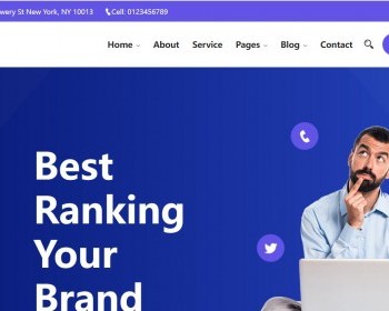 国外网站SEO搜索引擎优化网站模板静态HTML