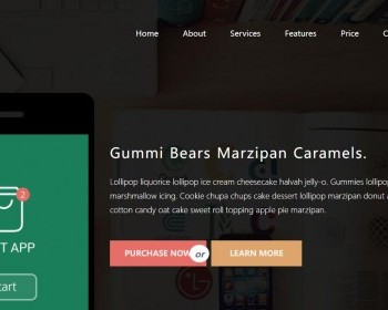 APP开发制作公司网站模板是一款大气扁平风格的HTML应用制作官网网页模板